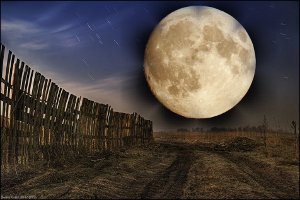 Лунный посевной календарь огородника: луна в знаках Зодиака