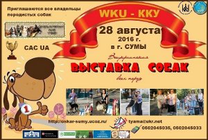Сумчан приглашают поучаствовать во Всеукраинской выставке собак всех пород