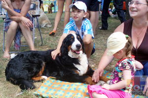 В парке Кожедуба прошла выставка собак