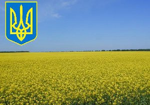 В Сумах отметили годовщину провозглашения государственного суверенитета Украины