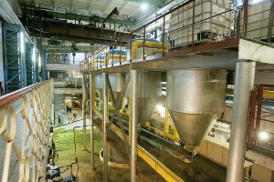 На Сумщине возрождается сахарная промышленность: запущен завод в Николаевке