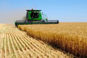 Министр агрополитики отметил Сумщину как одну из самых урожайных областей Украины