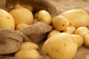 Сумщина полностью обеспечена картофелем и овощами