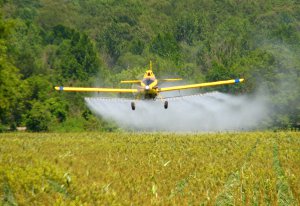 Уже восемь районов области очистили от пестицидов