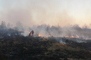 Лесной заказник на Сумщине спасли  от пожара