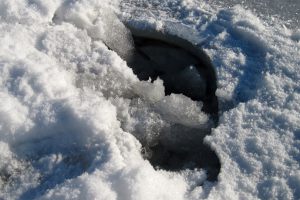 В Сумах мужчина провалился под лед