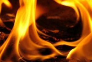 Пожары на Сумщине унесли жизни 2 человек и повредили 30 зданий за неделю