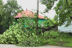 Над Сумской областью пронесся ураган