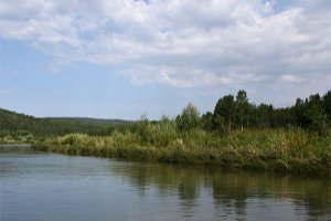 За прошедшие сутки в Сумской области утонули два человека
