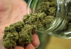У жителя Путивля обнаружили более 5 килограмм марихуаны