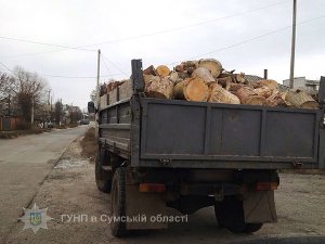 На Сумщине обнаружили три грузовика, которые незаконно перевозили древесину