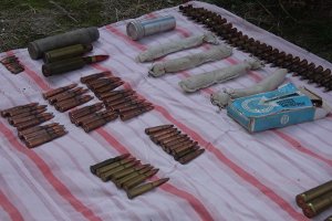 Сумская пенсионерка нашла более 350 единиц боеприпасов