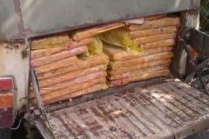 На Сумщине предотвращена попытка вывоза в Россию 1 тонны куриного фарша