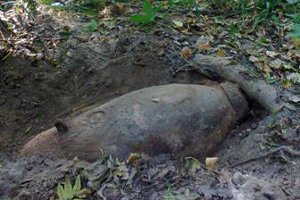 Грибник нашел в лесу на Сумщине 250-киллограмовую авиационную бомбу
