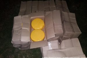 Сумской пограничный отряд изъял на границе с Россией 600 кг сыра