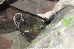Правоохранители обнаружили на Сумщине 2 боевые гранаты