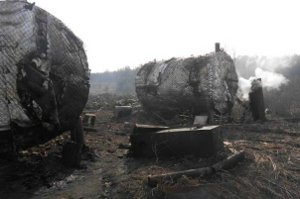 Жители Сумщины поставляли незаконно изготовленный древесный уголь в страны Европы