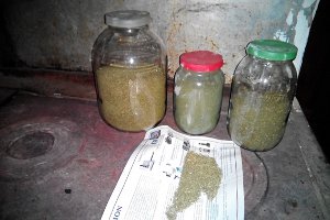 Житель Сумщины хранил в банках 2 кг марихуаны