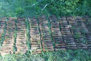 В Сумской области на границе с Россией найдены 182 старых боеприпаса