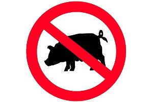 Сумчан предупреждают об угрозе африканской чумы свиней