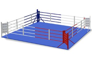 В Сумах будут судить покупателей и продавца несуществующего боксерского ринга