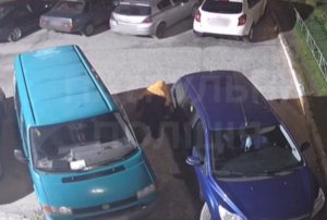 В Сумах неизвестный на ул. Интернационалистов резал колеса автомобилей: его задержала полиция