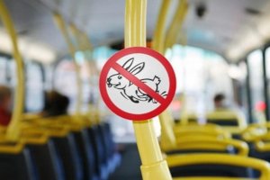 В «Электроавтотрансе» объявили месячник борьбы с «зайцами»