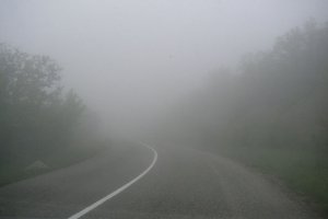 В Сумской области ожидается густой туман — ГАИ предупреждает водителей об опасности