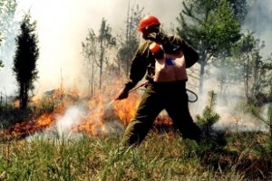 Объявлен высокий уровень пожарной опасности — лесхозы на Сумщине подготовлены