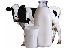 Домашнее молоко получило твердую «2» от Центра экспертизы