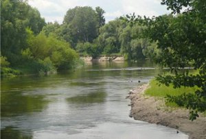 Русло реки Псел почистят