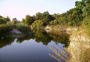 В Сумах обратили особое внимание на экологическое состояние реки Псел