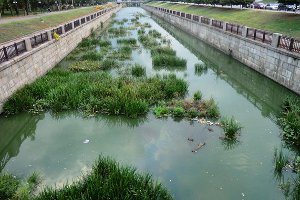 Русло реки Сумки обещают сделать чистым и безопасным