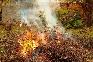 Дым над  Сумами: сжигание сухих растений несет угрозу здоровью людей 