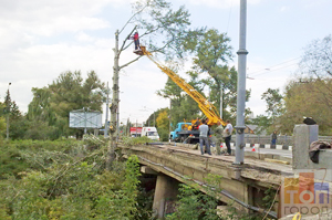 Жертвы реконструкции: вокруг Троицкого моста спилили деревья