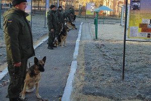 В воинской части на Сумщине прошел строевой смотр служебных собак