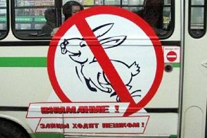 В Сумах начинают охоту на «зайцев»