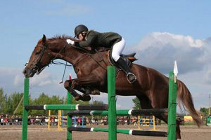 Чемпионат Украины по конному спорту принес Сумщине победы