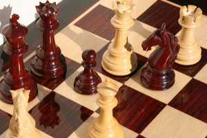 Сумчане отпраздновали День шахматов