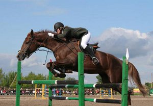На выходных пройдет открытый чемпионат города по конному спорту