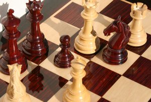 Соревнования юных гроссмейстеров 