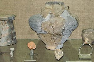 Находки поселения трипольской культуры «Ожево» переданы в музей