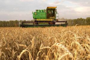 Украина увеличила производство сельхозпродукции на 10,2%