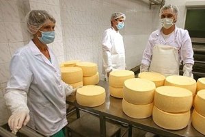 Россия намерена ослабить контроль за украинским сыром 