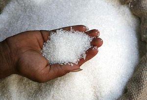 В Украине подняли урожай сахара