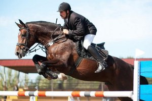 В Донецке состоится турнир по конному спорту с призовым фондом миллион евро