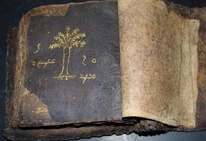 У контрабандистов изъяли старинную Библию