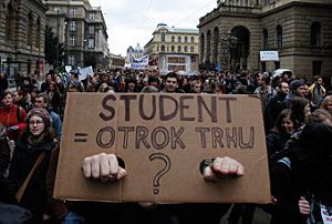 Студенты Чехии хотят учиться бесплатно