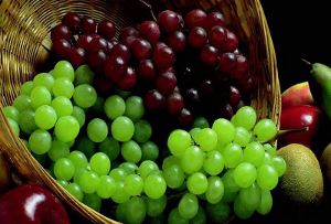 Европа потеряла 80% урожая винограда 