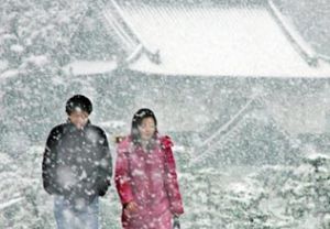 Снегопады в Японии унесли жизни 80 человек